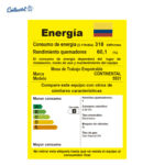 ESTUFA EMPOTRAR 5531 CONTINENTAL 4 A INOX ENC GN (55.245.2) - Imagen 4