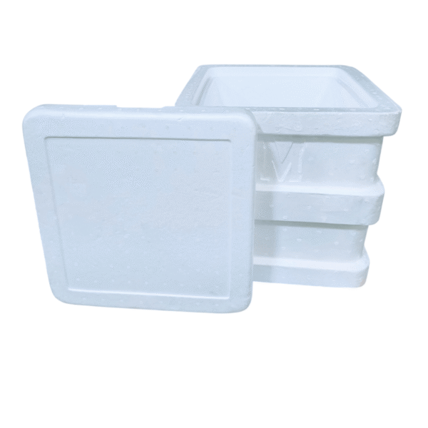 CAVA TANQUE 55 LITROS 0917 *